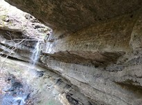 Farm falls